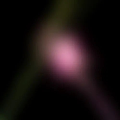 Various Artists - Wicked For Good: The Soundtrack