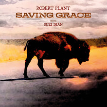 Load image into Gallery viewer, ROBERT PLANT - SAVING GRACE
