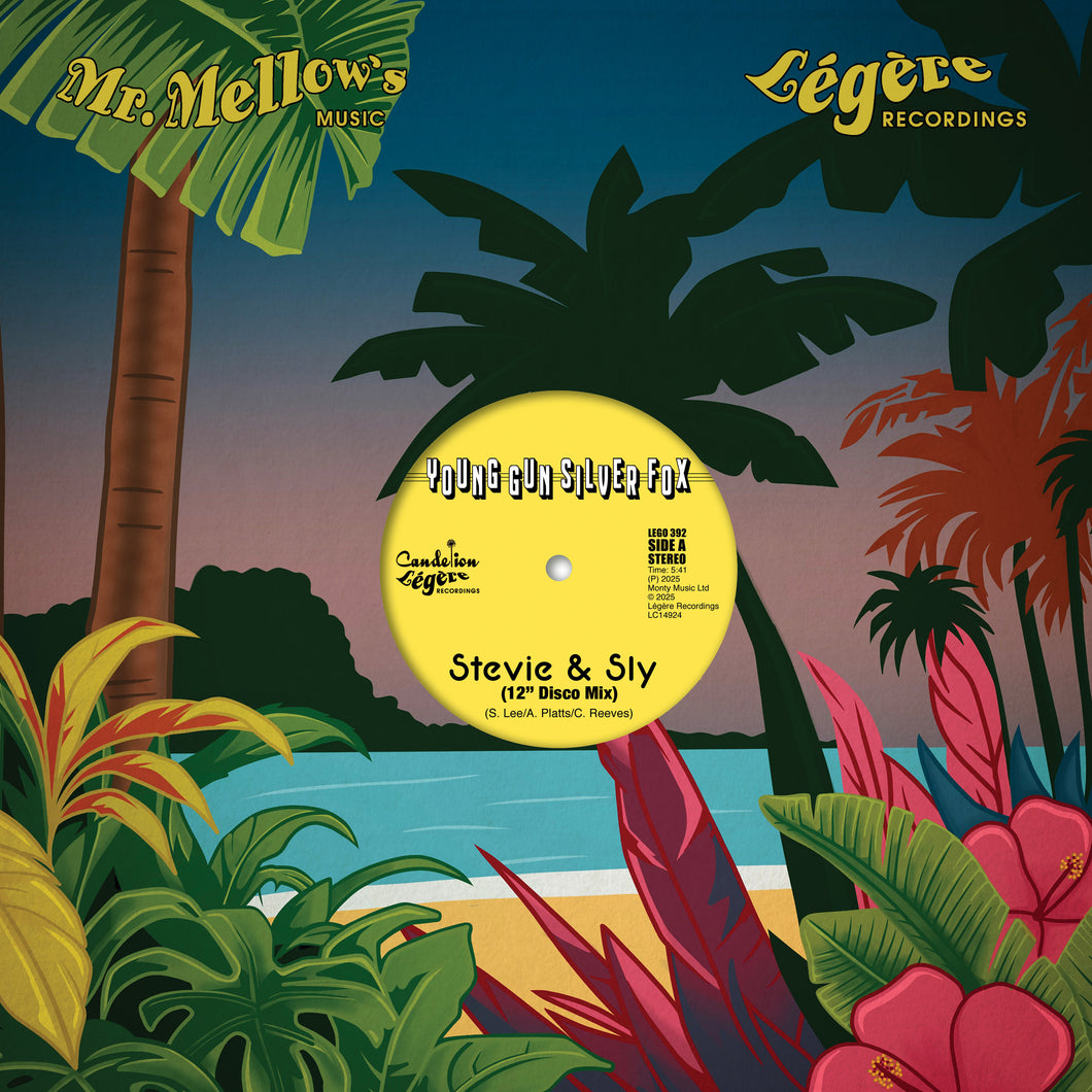 Young Gun Silver Fox - Disco Mixes