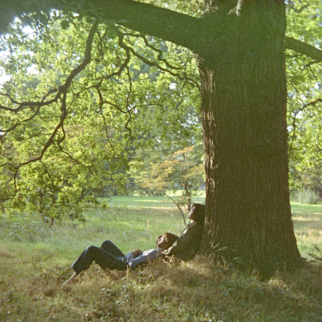 John Lennon/Plastic Ono Band (The Ultimate Mixes) – 2LP