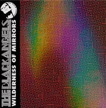 Load image into Gallery viewer, The Black Angels- Wilderness Of Mirrors
